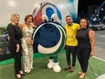 Futebol ganha protagonismo na TV Ponta Verde em 2026