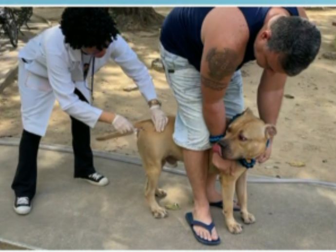 Recife promove vacinação antirrábica de cães e gatos contra raiva nesta quinta-feira (28)