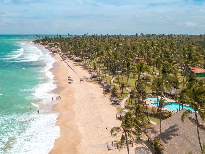 Algas causam intoxica&ccedil;&atilde;o em banhistas na praia de Maraca&iacute;pe