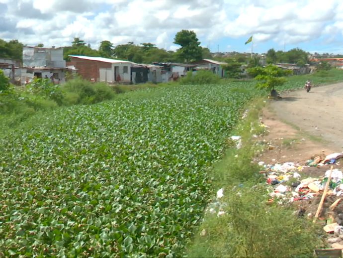 Moradores denunciam neglig&ecirc;ncia na limpeza do canal na comunidade do V8, em Olinda
