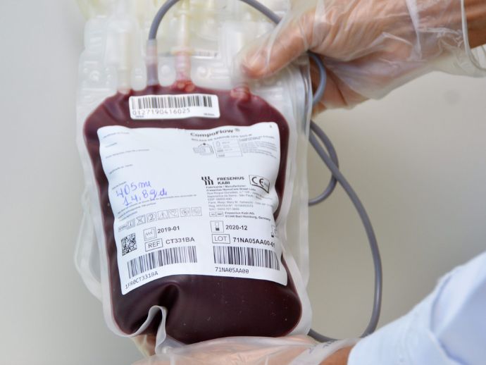 Retomada do atendimento de doa&ccedil;&atilde;o de sangue e medula &oacute;ssea, em Macei&oacute;.