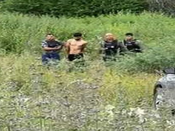 Mulher é assassinada com várias facadas no município de Trindade, PE