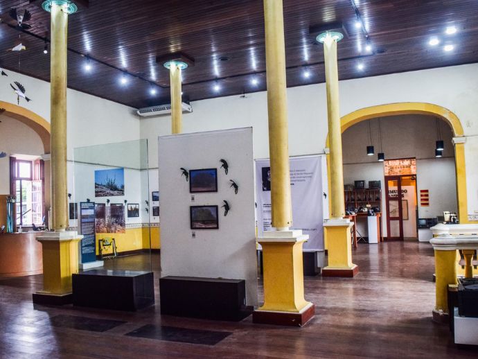 Museu da Imagem e do Som de Alagoas estende exposi&ccedil;&atilde;o "A Caatinga do Sert&atilde;o Alagoano" at&eacute; 31 de julho