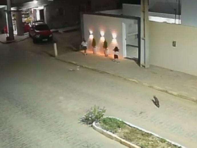 Em Taquaritinga do Norte, crian&ccedil;a de 3 anos &eacute; atacada por raposa 