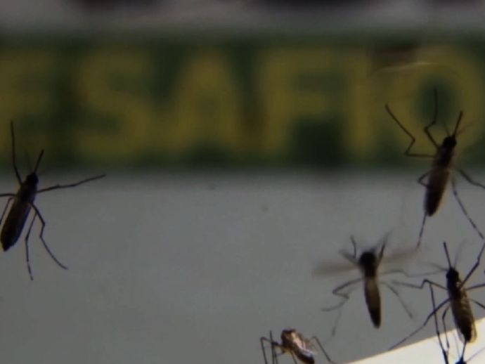 Mulheres gr&aacute;vidas devem refor&ccedil;ar os cuidados para evitar a febre oropouche 