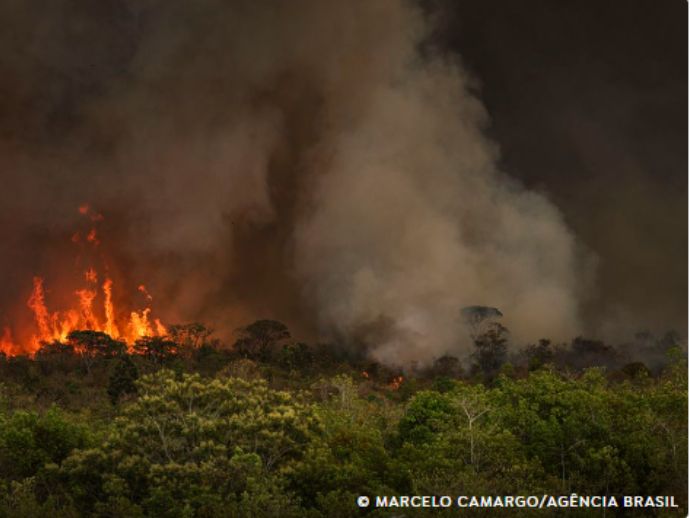 Brasil tem 22,38 milh&otilde;es de hectares atingidos pelo fogo em nove meses