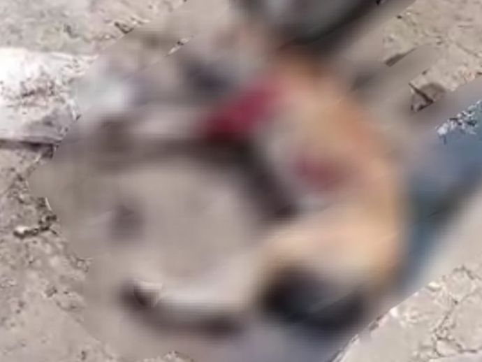 Policial militar &eacute; identificado como respons&aacute;vel por matar tr&ecirc;s c&atilde;es em Arapiraca  