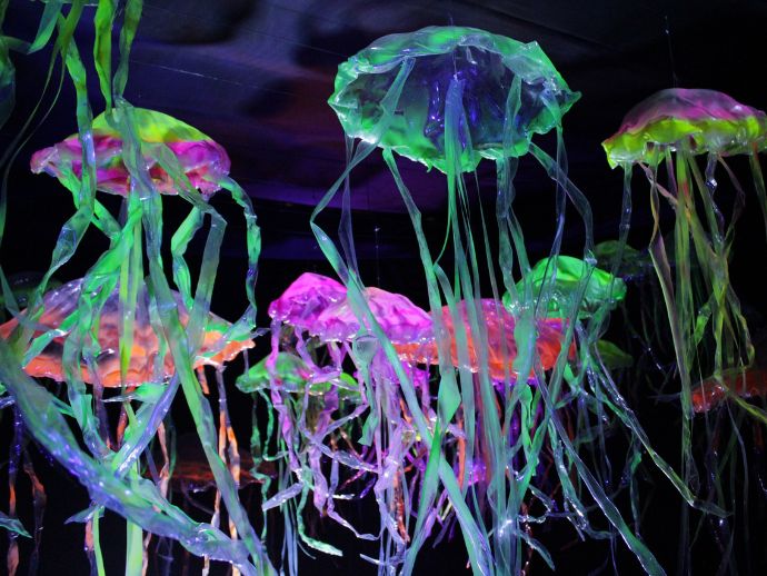 Exposi&ccedil;&atilde;o Imersiva "Oceano Vivo" chega aos &uacute;ltimos dias com ingressos com desconto