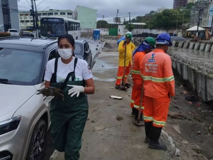 Obras do Renasce Salgadinho s&atilde;o paralisadas