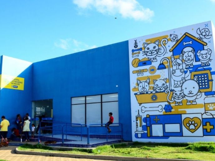 Hospital Veterin&aacute;rio do Recife abre novas vagas para castra&ccedil;&atilde;o de c&atilde;es e gatos