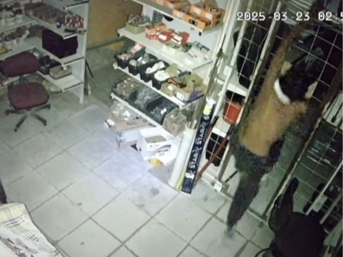 Em Olinda, bandido invade armaz&eacute;m e causa preju&iacute;zo de R$ 30 mil