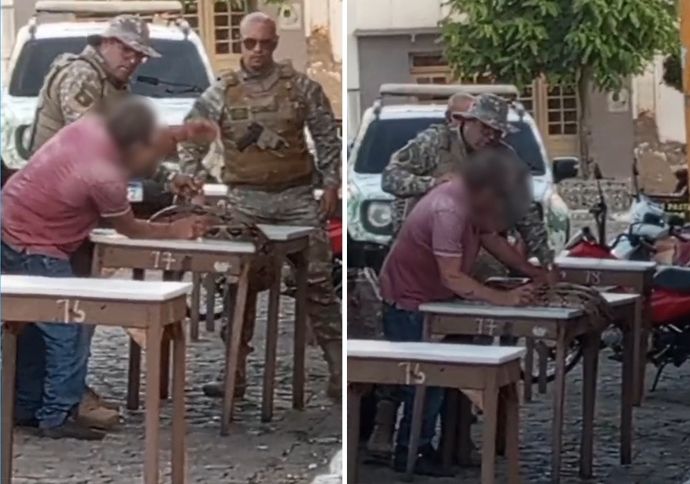 Homem é detido após levar uma cobra jiboia a um bar no Agreste