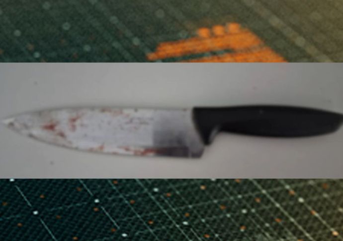 Motorista de aplicativo suspeito de desferir 10 facadas contra esposa &eacute; preso