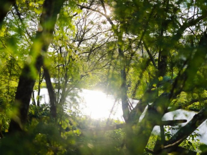 Semana do Meio Ambiente movimenta Pernambuco com ações educativas e culturais