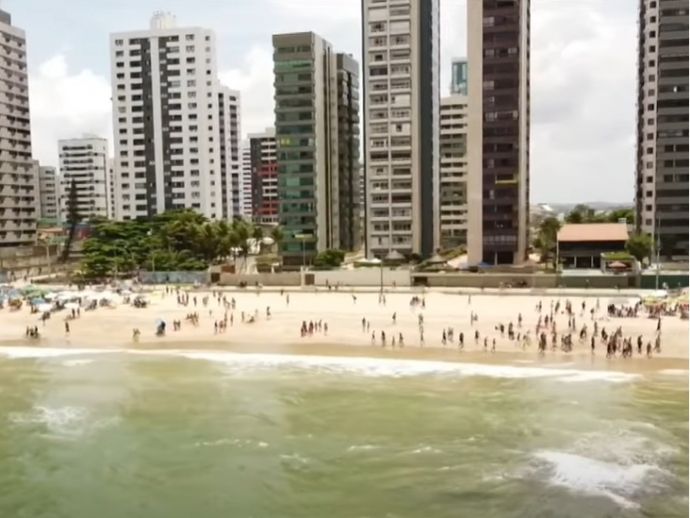 CEMIT alerta para riscos de incidentes com tubar&otilde;es no per&iacute;odo de f&eacute;rias