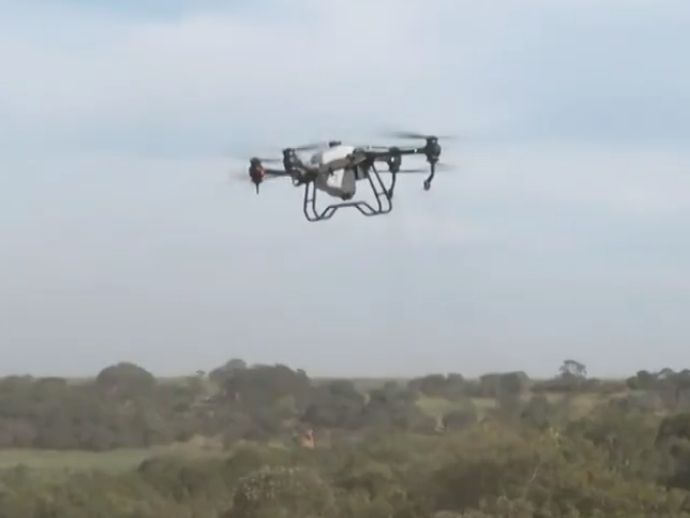 Drones revolucionam produ&ccedil;&atilde;o agr&iacute;cola em Pernambuco