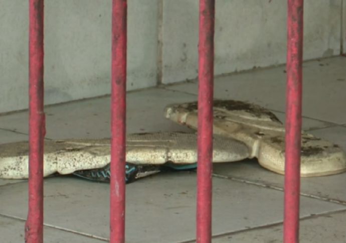 Discussão em bar termina com três pessoas mortas e uma ferida no Engenho do Meio