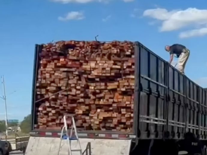 Pernambuco registra maior apreensão de madeira ilegal do Brasil