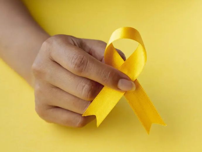 Sesau inicia programa&ccedil;&atilde;o do Setembro Amarelo com semin&aacute;rio em Macei&oacute;