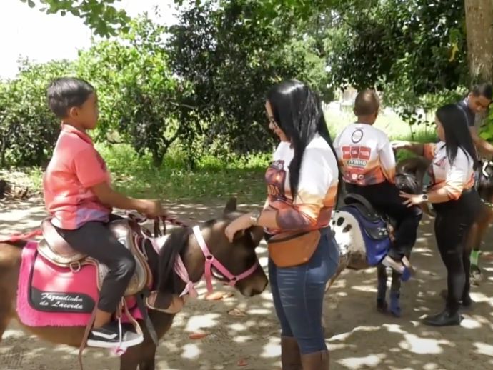 Interação com pôneis ajuda no desenvolvimento emocional e cognitivo de crianças em Araçoiaba