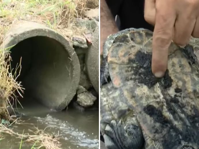 Vazamento qu&iacute;mico no Ipsep causa morte de animais e problemas de sa&uacute;de perto do Aeroporto