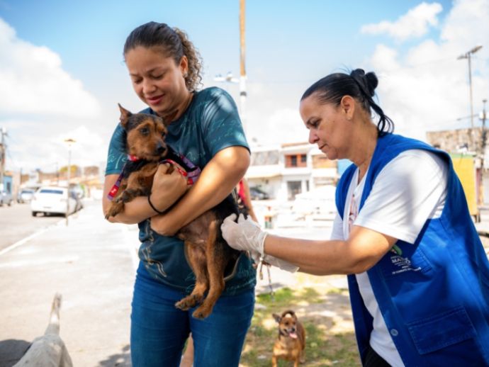 Prefeitura de Macei&oacute; realiza &uacute;ltimo dia de vacina&ccedil;&atilde;o antirr&aacute;bica no pr&oacute;ximo s&aacute;bado(8)