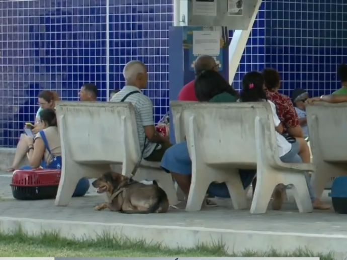 Tutores de animais reclamam da falta de atendimento no Hospital Veterin&aacute;rio do Recife