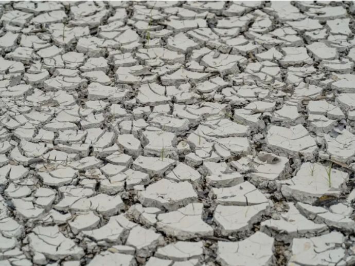 Governo decreta estado de emerg&ecirc;ncia em 107 munic&iacute;pios devido &agrave; seca