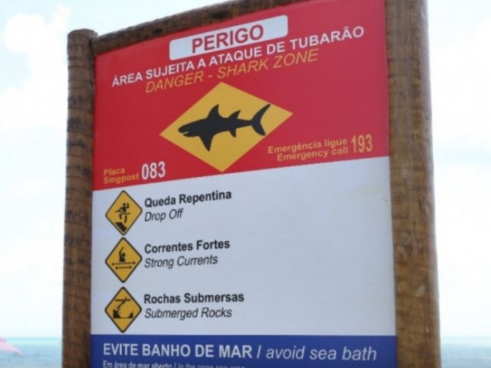 Tubar&otilde;es do Grande Recife voltar&atilde;o a ser monitorados com chips ap&oacute;s 11 anos