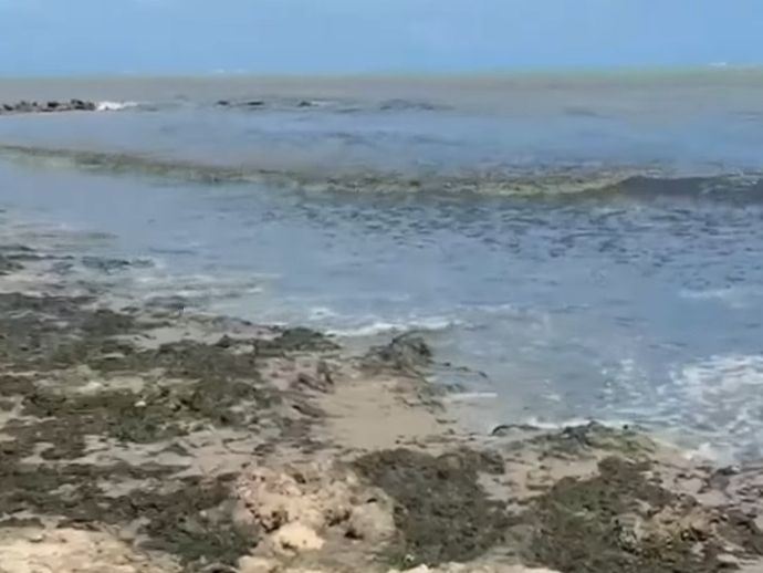 Fen&ocirc;meno muda cor da &aacute;gua e preocupa banhistas na praia de Candeias