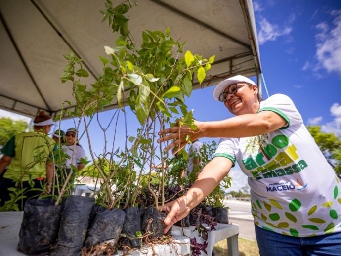 Mirante da Santa Am&eacute;lia recebe primeira edi&ccedil;&atilde;o do Arborizar &eacute; Massa em 2026