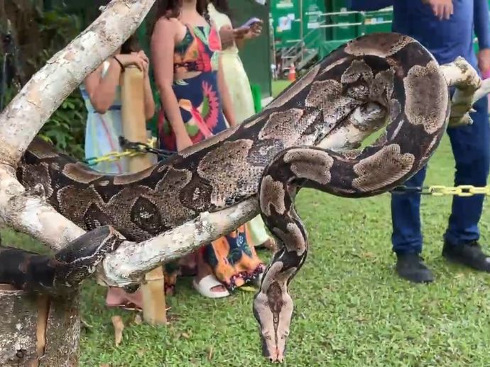 Parque Dois Irm&atilde;os aposta em experi&ecirc;ncias interativas para a crian&ccedil;ada nas f&eacute;rias
