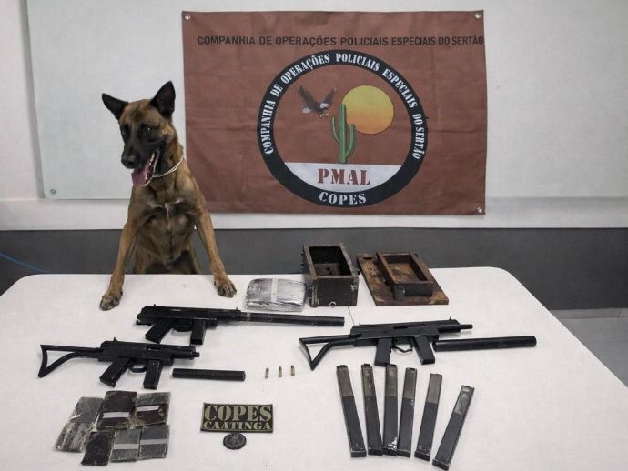 PM apreende metralhadoras artesanais e drogas em &ocirc;nibus na BR-316, em Santana do Ipanema