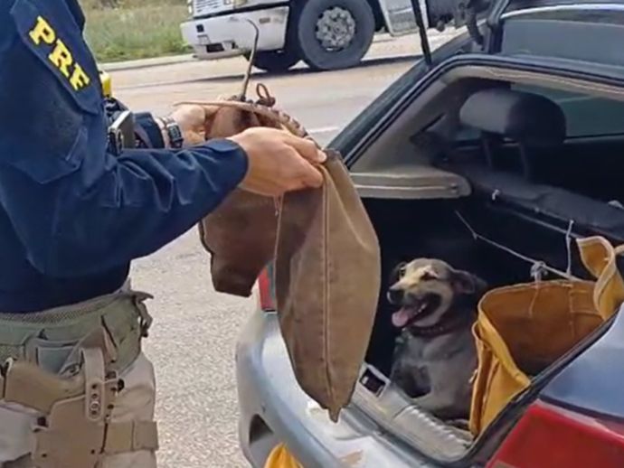 Tatus e cachorro s&atilde;o resgatados de situa&ccedil;&atilde;o de maus-tratos em Serra Talhada