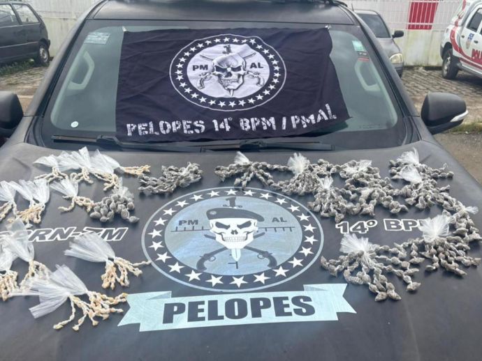 Adolescente &eacute; apreendido com quase mil por&ccedil;&otilde;es de drogas em Col&ocirc;nia Leopoldina