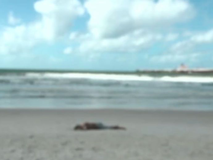 Corpo com sinais de viol&ecirc;ncia &eacute; encontrado na Praia do Sobral, em Macei&oacute;