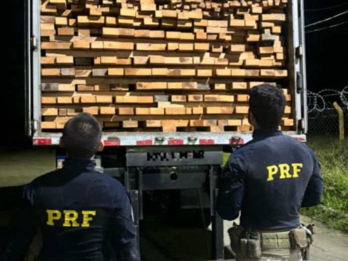 PRF apreende mais de 600 m&sup3; de madeira irregular no Sert&atilde;o de Pernambuco