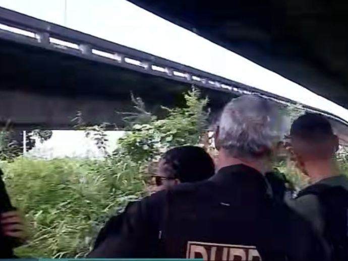 Corpo carbonizado e sem as m&atilde;os &eacute; encontrado em &aacute;rea de mata no Recife