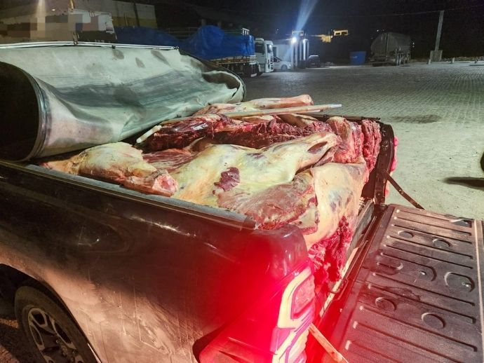 Em Garanhuns, PRF apreende 800 kg de carne sem refrigera&ccedil;&atilde;o. 