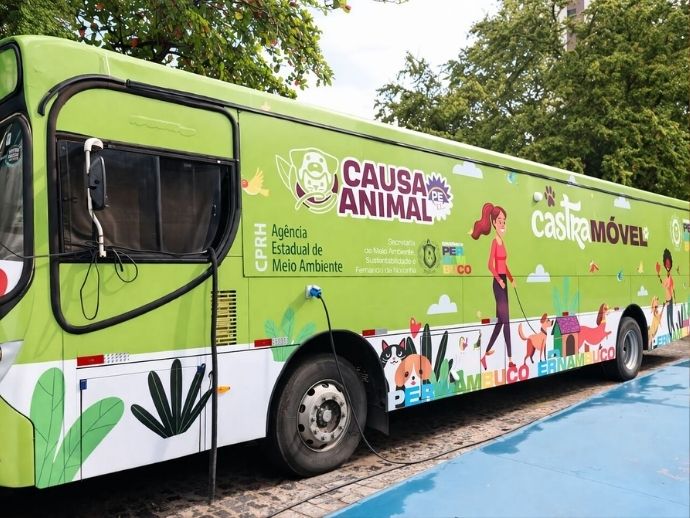 Servi&ccedil;o gratuito de castra&ccedil;&atilde;o estar&aacute; presente no Recife, Paulista e Jaboat&atilde;o