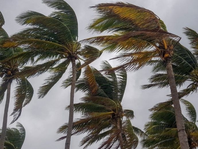 Temporada dos ventos: o que muda no clima com a chegada de agosto?