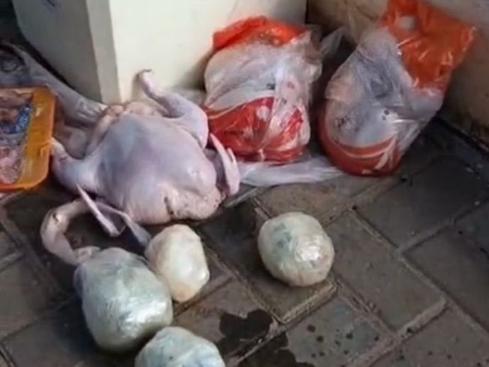 Pol&iacute;cia apreende maconha e coca&iacute;na escondidas em frangos em Noronha