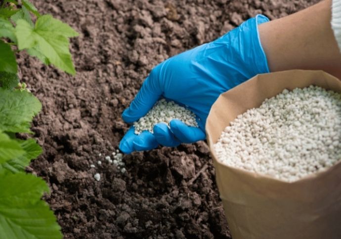 Senado aprova programa para fabrica&ccedil;&atilde;o de fertilizantes no Brasil