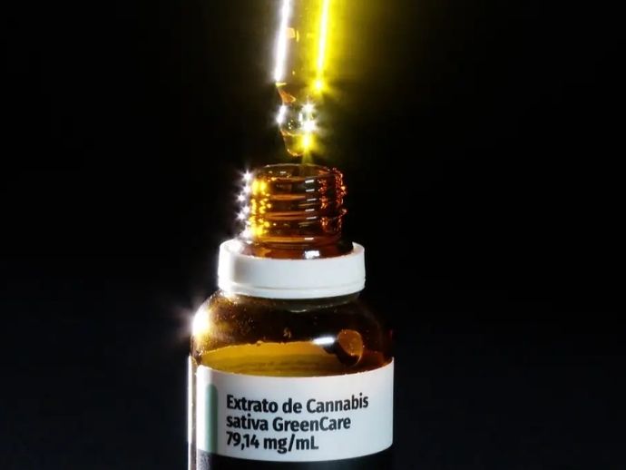 Autoriza&ccedil;&otilde;es para importa&ccedil;&atilde;o de cannabis aumentam em 29% em 2026