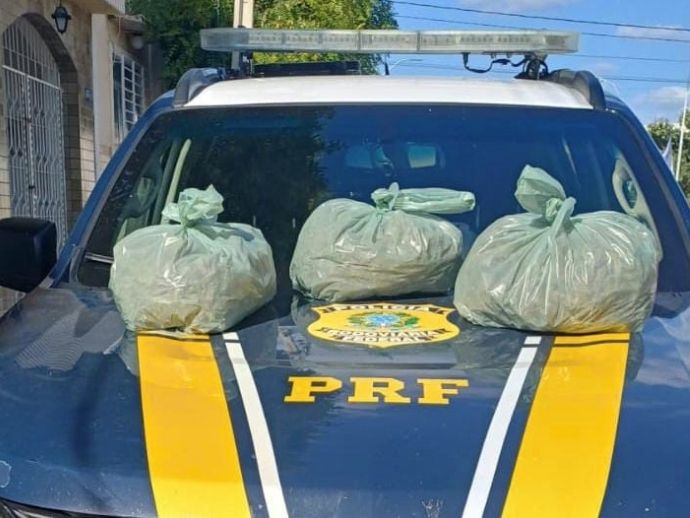 PRF apreende mais de 10 kg de skunk durante fiscaliza&ccedil;&atilde;o em Sert&acirc;nia