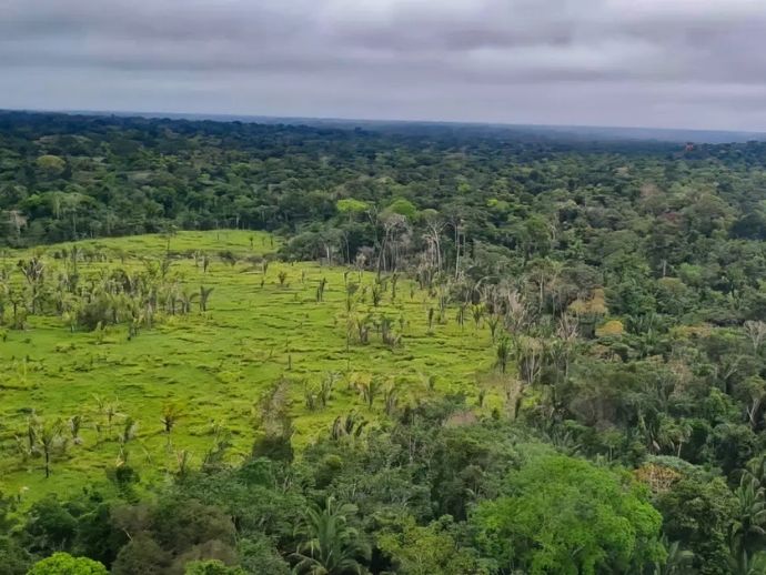 60% das terras ind&iacute;genas da Amaz&ocirc;nia n&atilde;o tiveram desmatamento