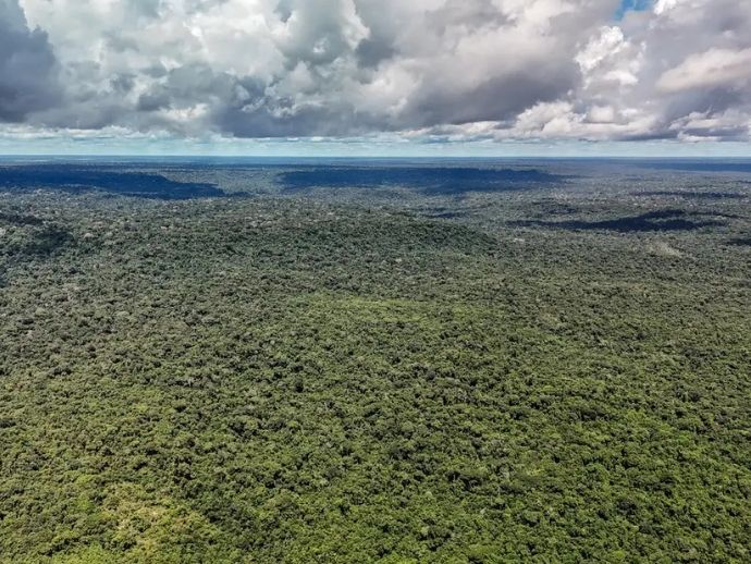 Reino Unido anuncia investimento de 400 milh&otilde;es de libras no TFFF