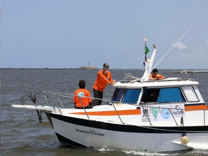 Pernambuco retoma monitoramento de tubar&otilde;es no litoral do Recife