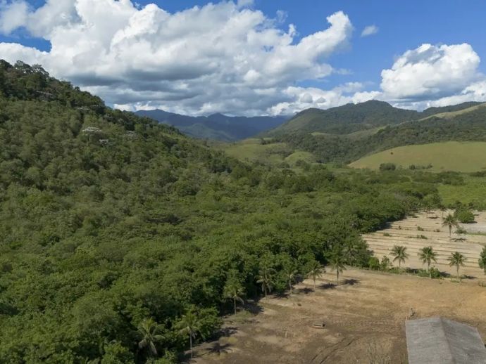 Agricultura ganha 11 milh&otilde;es de hectares em 41 anos na Mata Atl&acirc;ntica 