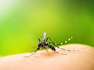 Relatório da Sesau aponta crescimento significativo em casos de Dengue, em Alagoas.